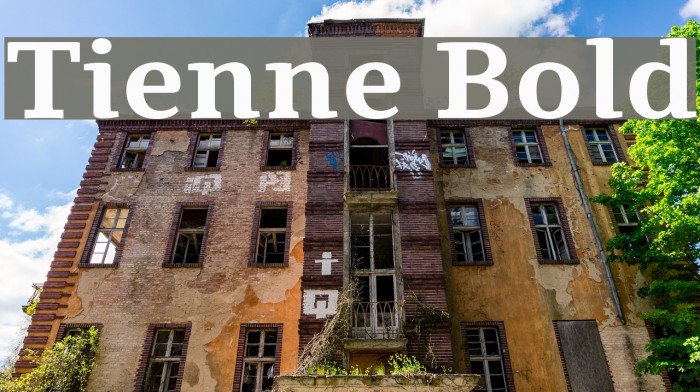Tienne Bold Font examples