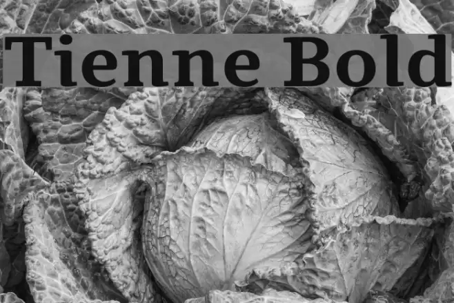 Tienne Bold Font examples