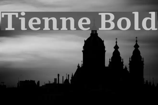 Tienne Bold Font examples