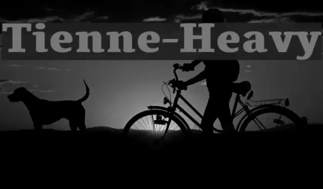 Tienne-Heavy Fonte examples