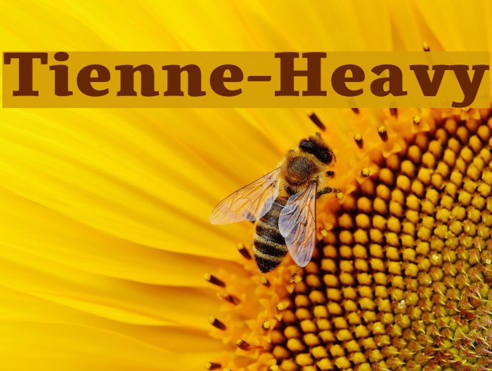 Tienne-Heavy Font examples