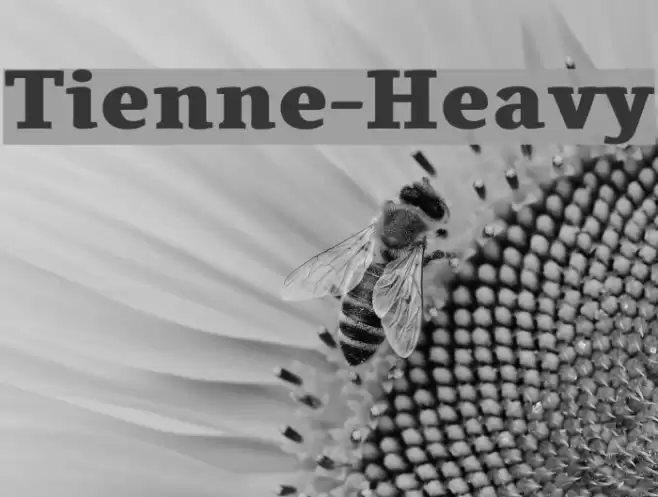 Tienne-Heavy Fonte examples