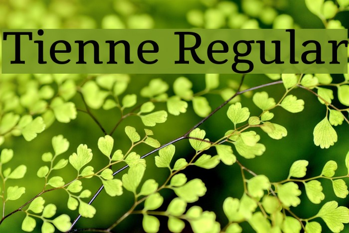 Tienne Regular Font examples