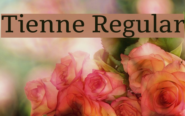 Tienne Regular Font examples
