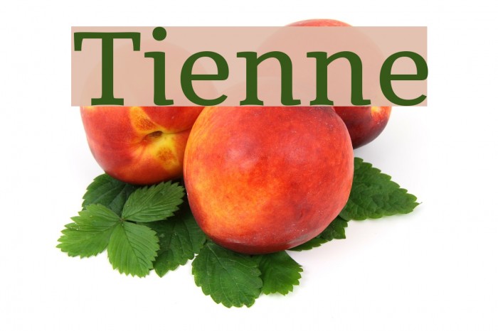 Tienne Font examples