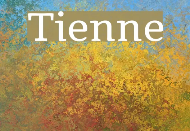 Tienne Example 2