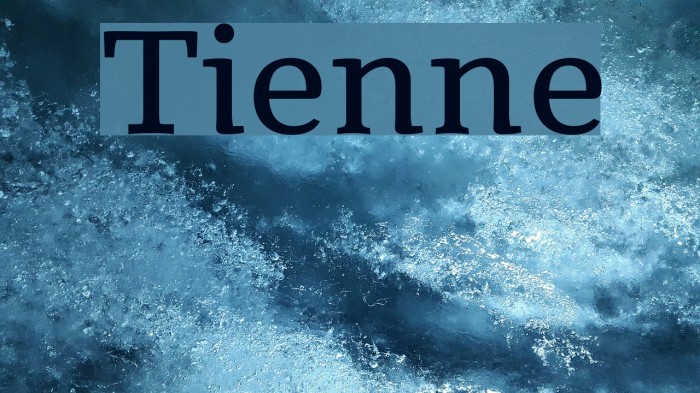 Tienne Font examples