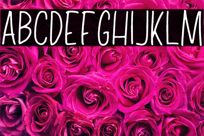 Tiffany Sans Example 1