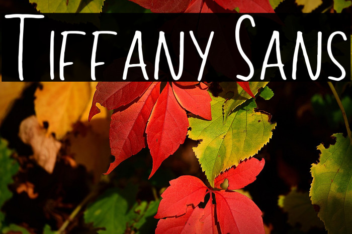 Tiffany Sans Example 1