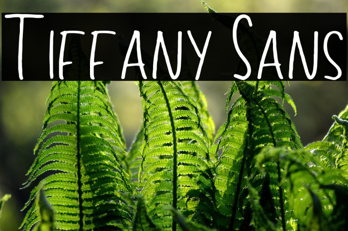 Tiffany Sans Example 3