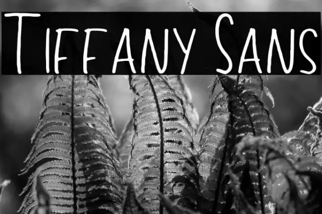 Tiffany Sans Font examples