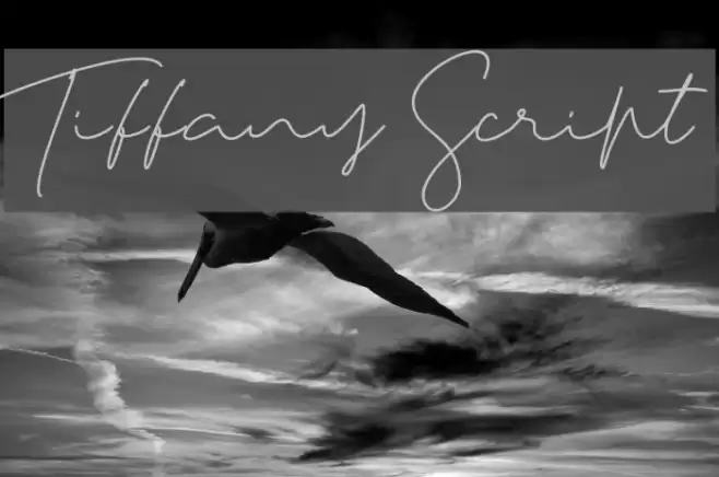 Tiffany Script Font examples