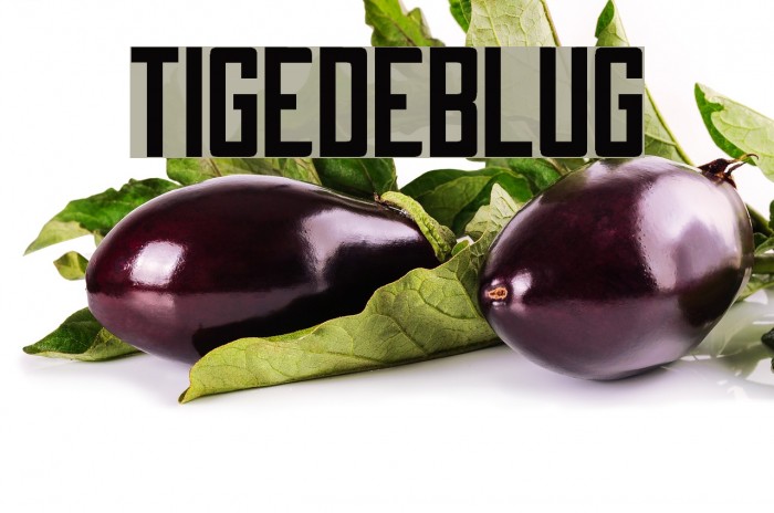 Tigedeblug Font examples