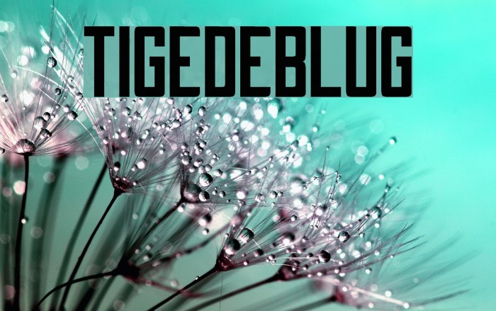 Tigedeblug Font examples