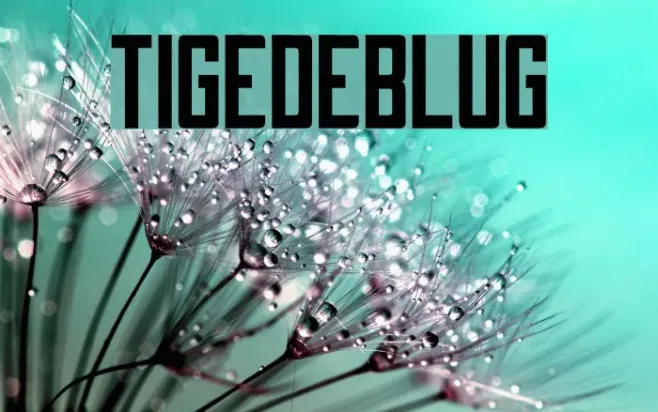 Tigedeblug Example 3