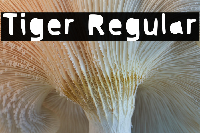 Tiger Regular Example 1