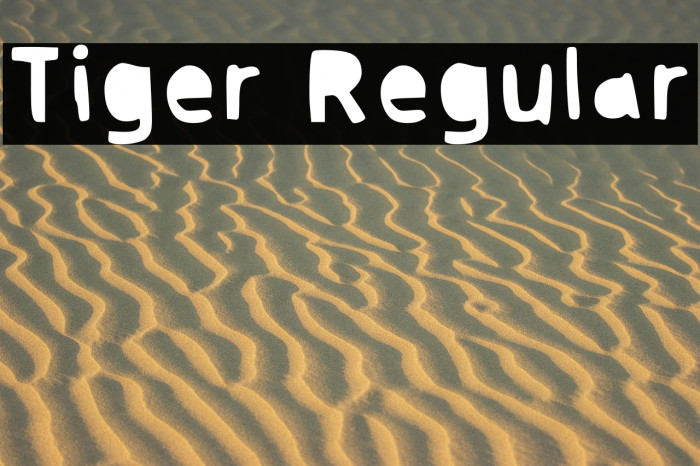 Tiger Regular Example 2