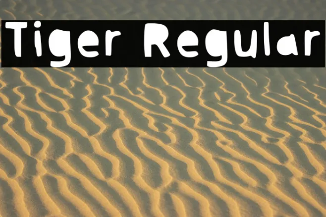 Tiger Regular Example 2
