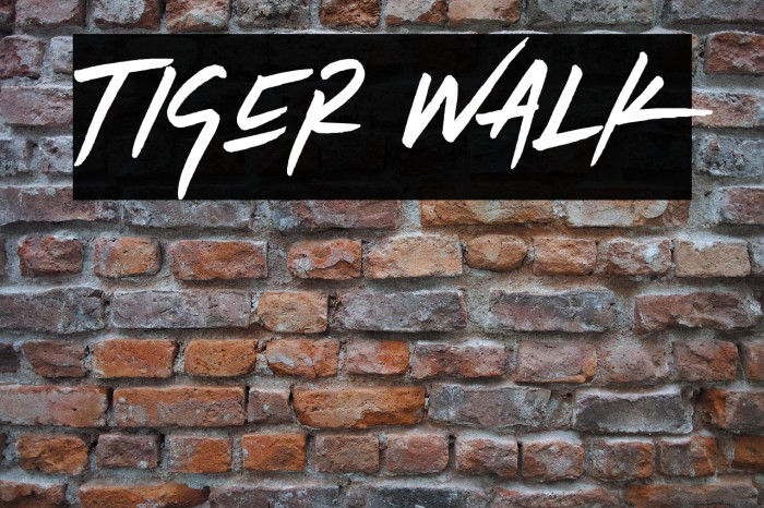 Tiger Walk Example 1