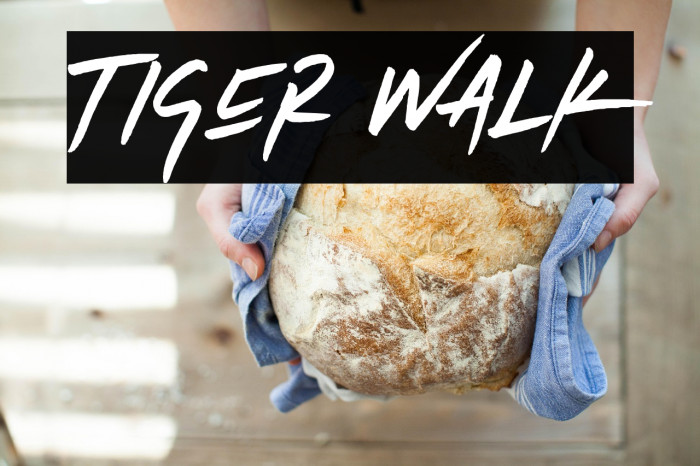 Tiger Walk Example 2