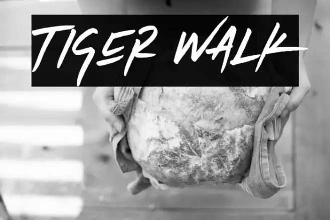 Tiger Walk Font examples
