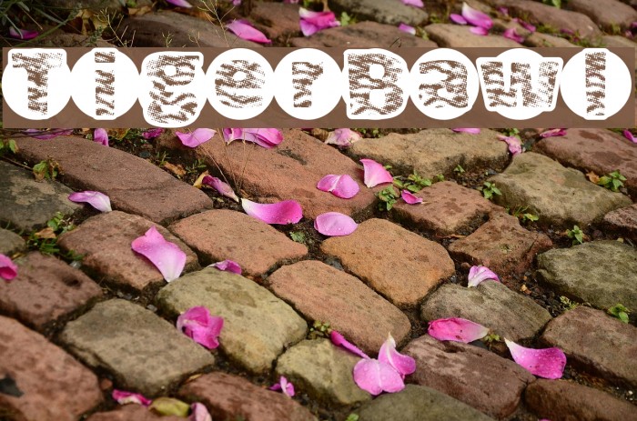 TigerBawl Font examples