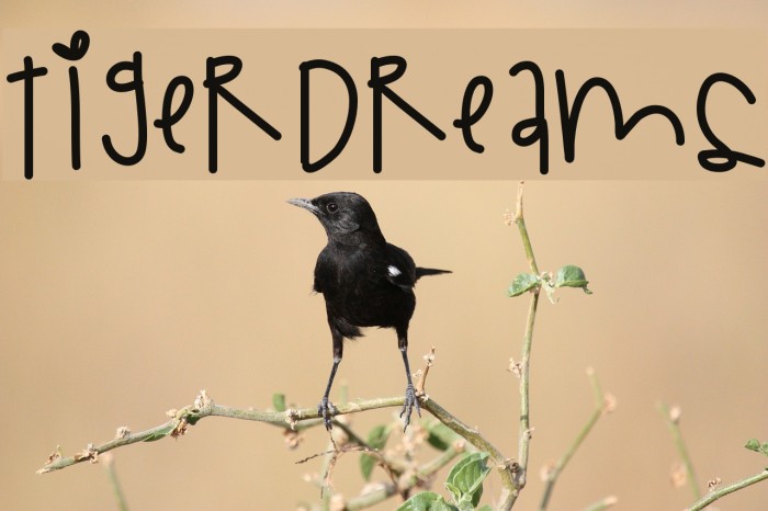 TigerDreams Font examples