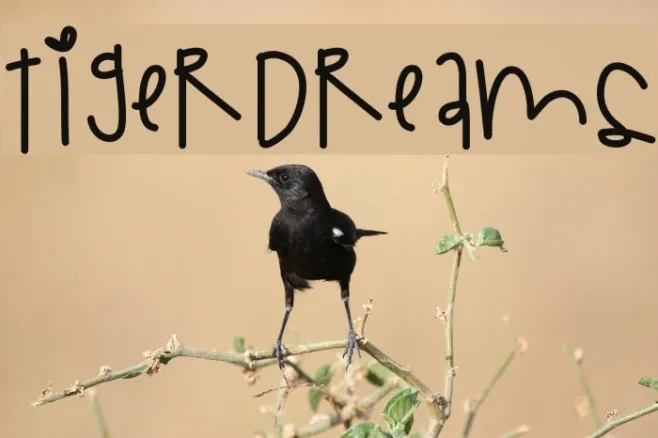 TigerDreams Example 1