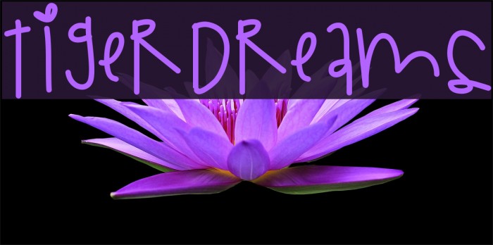 TigerDreams Font examples