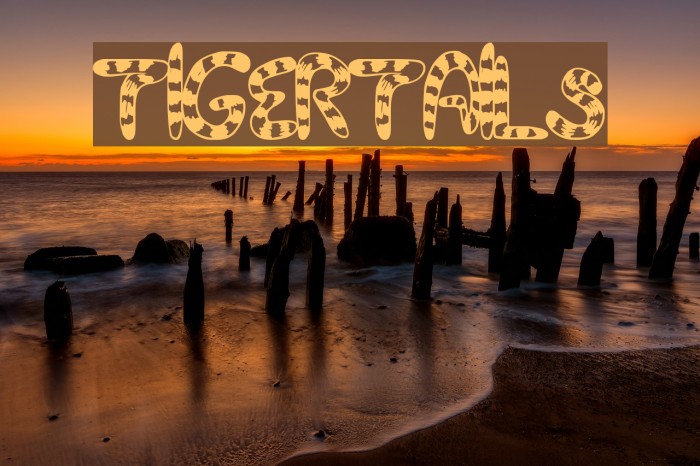 TigerTails Font examples
