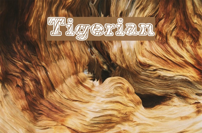 Tigerian Font examples