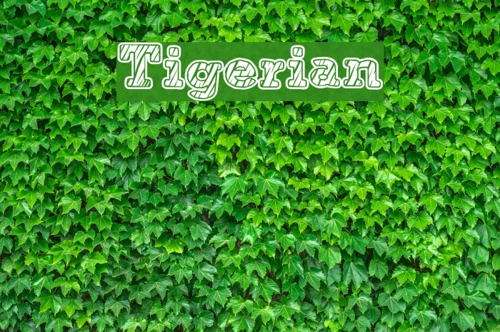 Tigerian Font examples