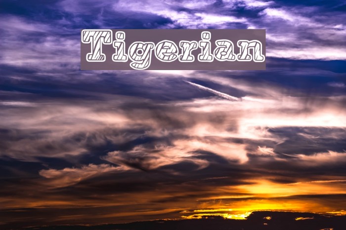 Tigerian Font examples