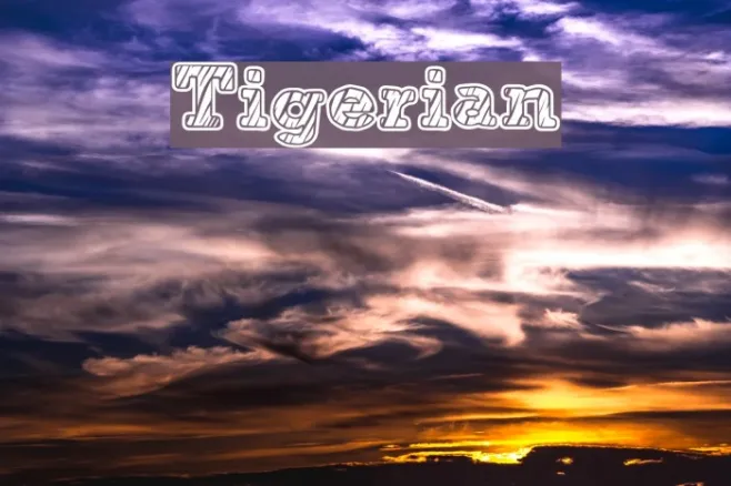 Tigerian Example 3