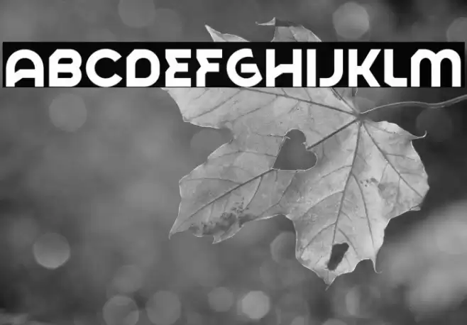 Tigeroa Caratteri examples