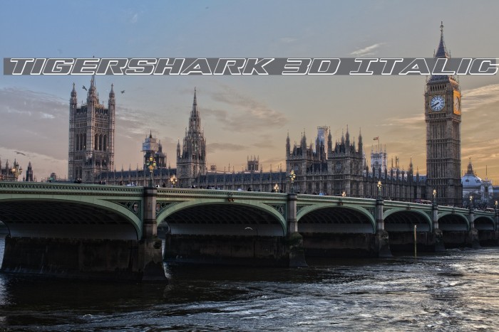Tigershark 3D Italic Шрифта examples