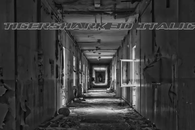 Tigershark 3D Italic Font examples