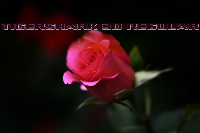 Tigershark 3D Regular Font examples