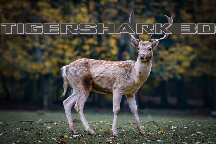 Tigershark 3D Font examples