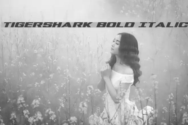 Tigershark Bold Italic Font examples
