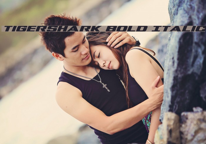 Tigershark Bold Italic Font examples