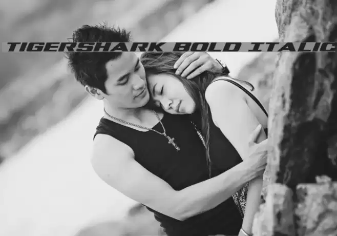 Tigershark Bold Italic Font examples
