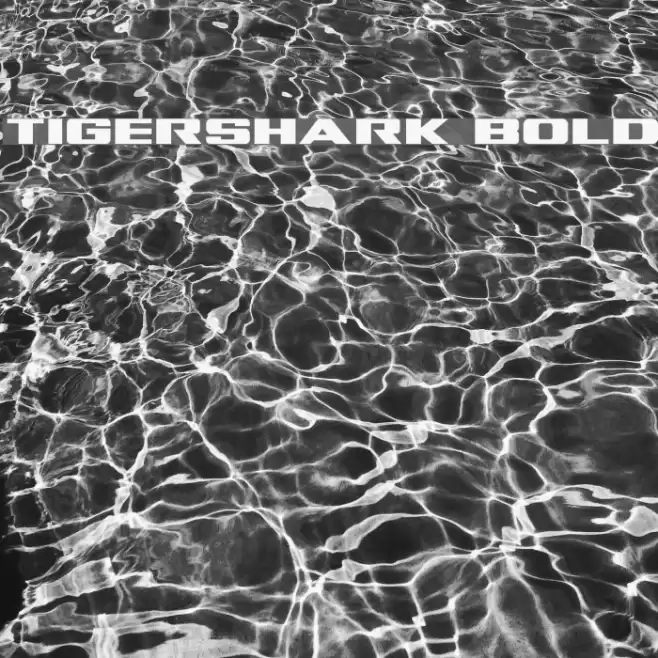 Tigershark Bold Font examples