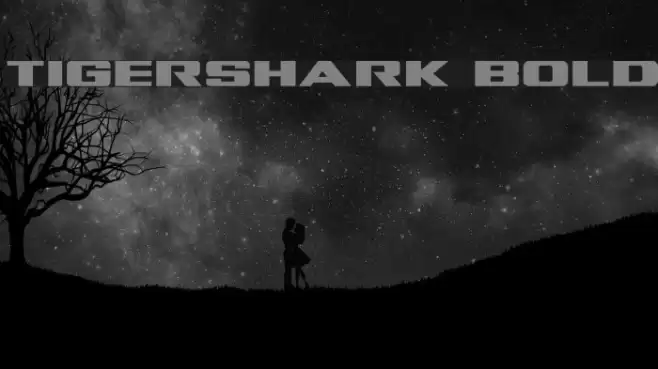 Tigershark Bold Font examples