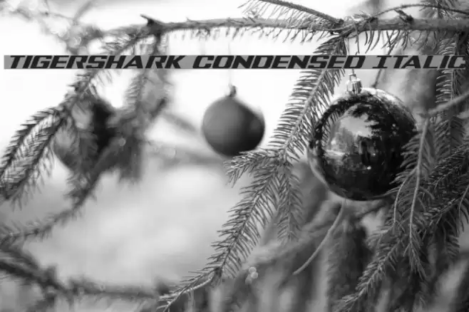 Tigershark Condensed Italic Font examples