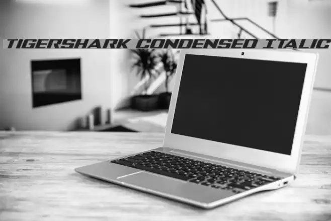 Tigershark Condensed Italic Font examples