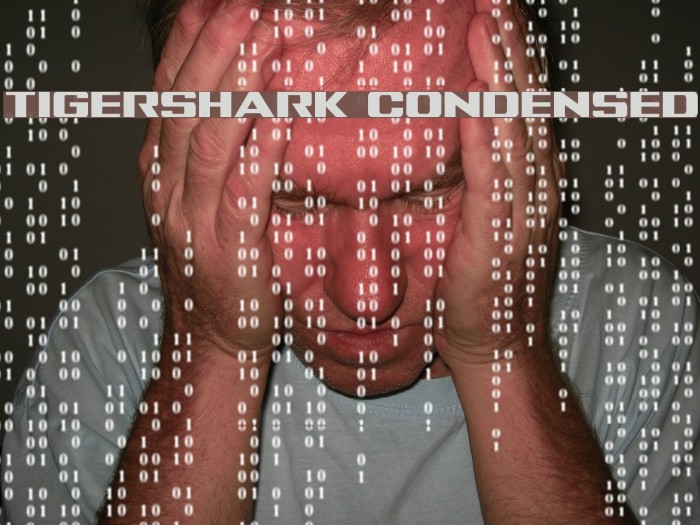 Tigershark Condensed Example 1
