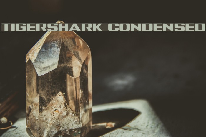 Tigershark Condensed Example 3