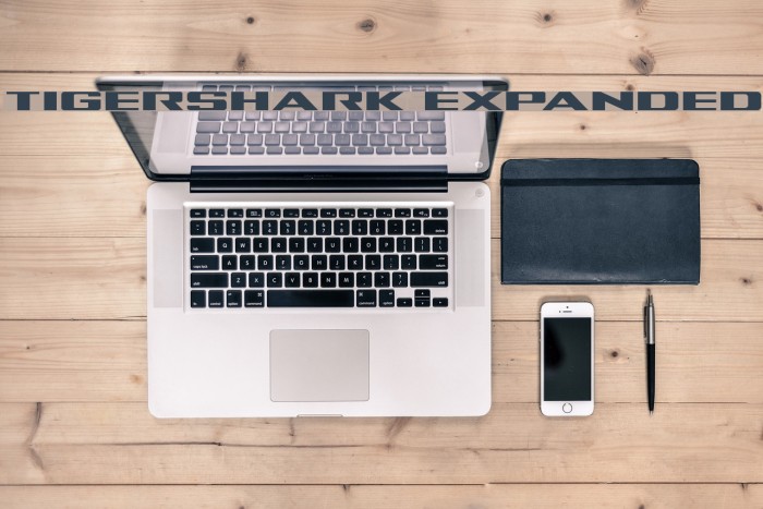 Tigershark Expanded Font examples