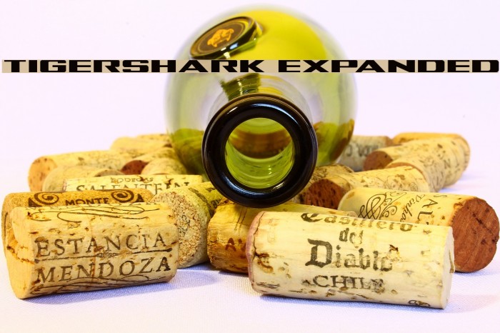 Tigershark Expanded Font examples